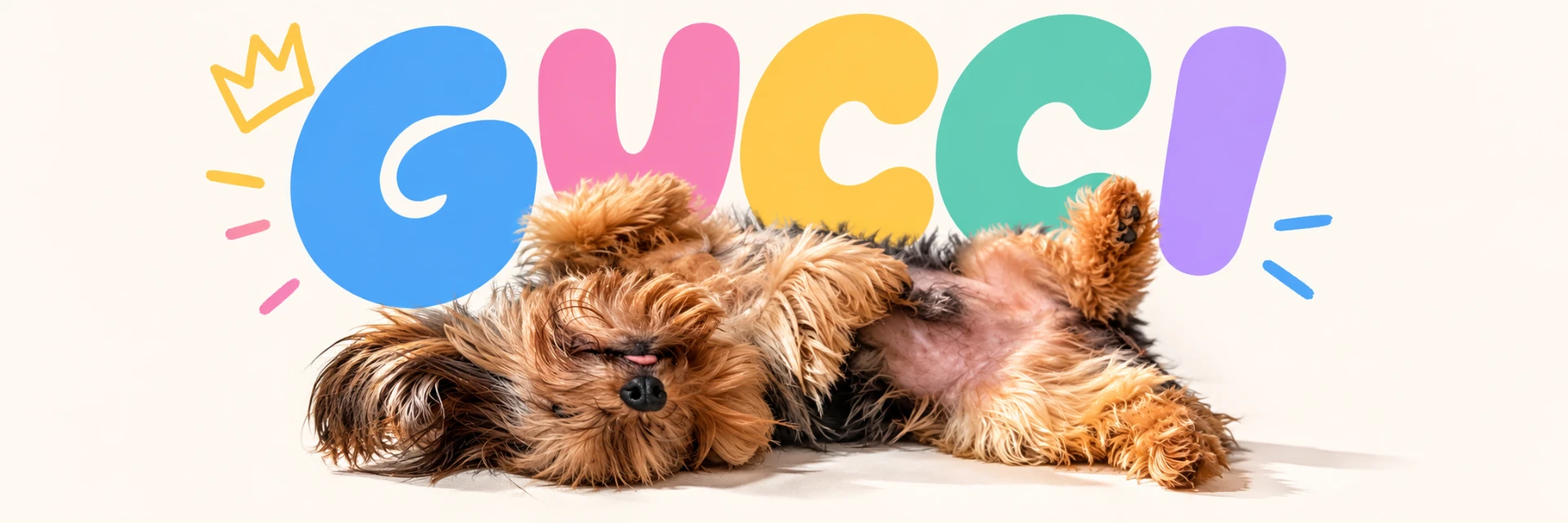Gucci the dog sleeping under colorful GUCCI letters